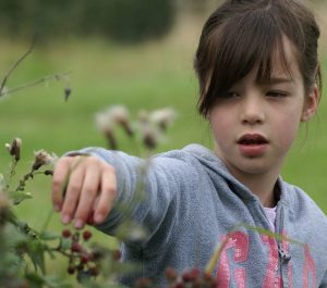 The Great Blackberry Pick